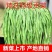 批发脱水贡菜干产地直发规格可定货源稳定