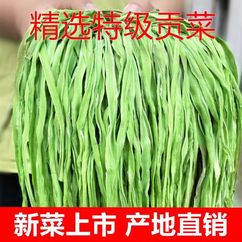 批发脱水贡菜干产地直发规格可定货源稳定