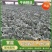 (精品)湖北扁包菜产地直销，市场，加工厂，出口。