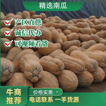 湖北金韩密本包甜包面，一手货源，保质保量