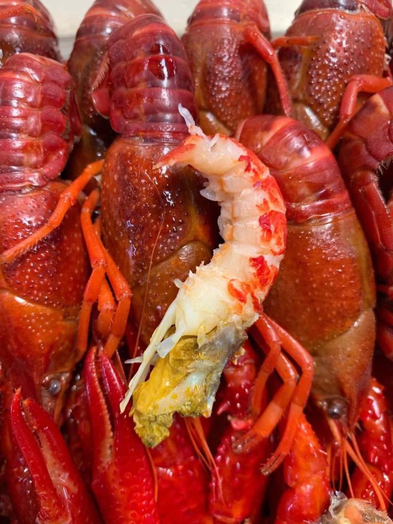 龙虾尾