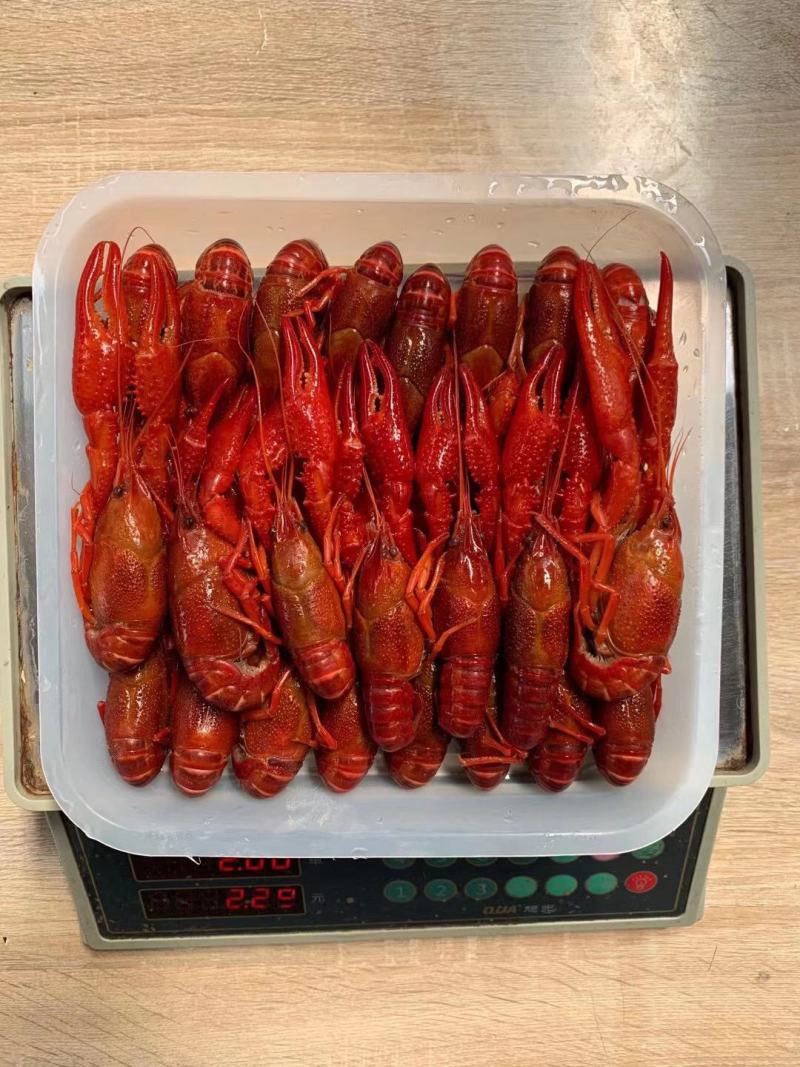 龙虾尾