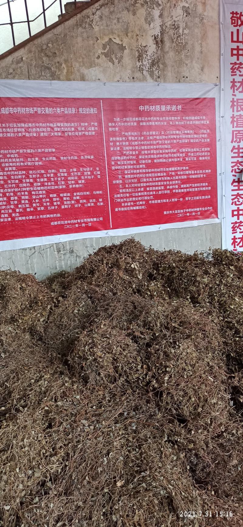 金钱草