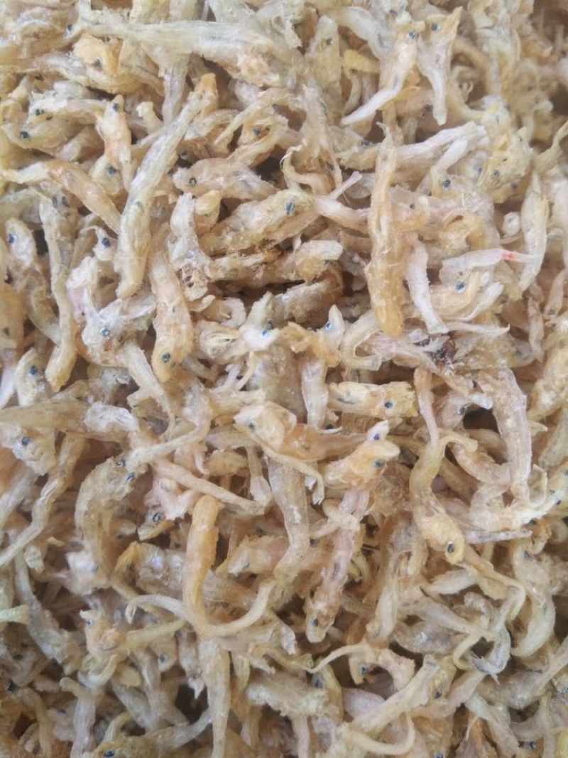 小黄鱼