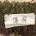 薄荷