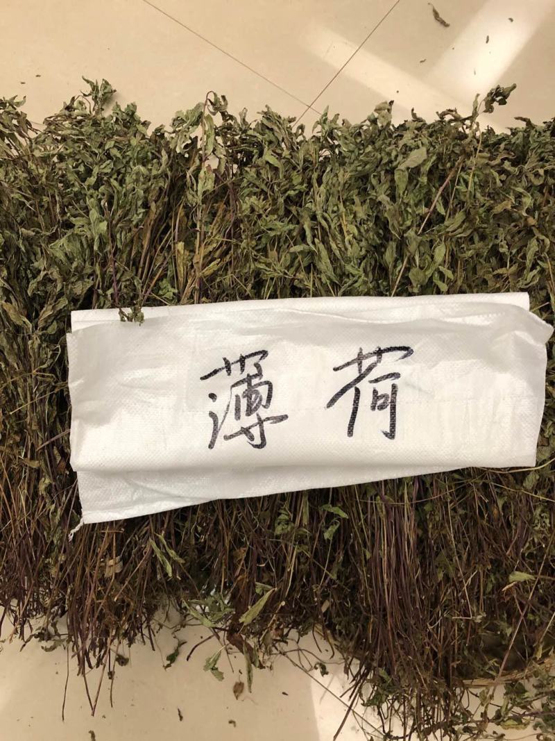 薄荷