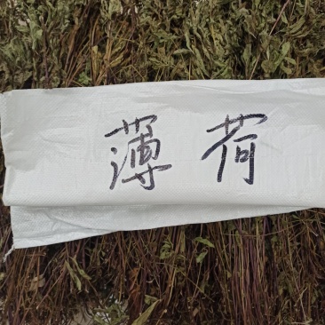 薄荷
