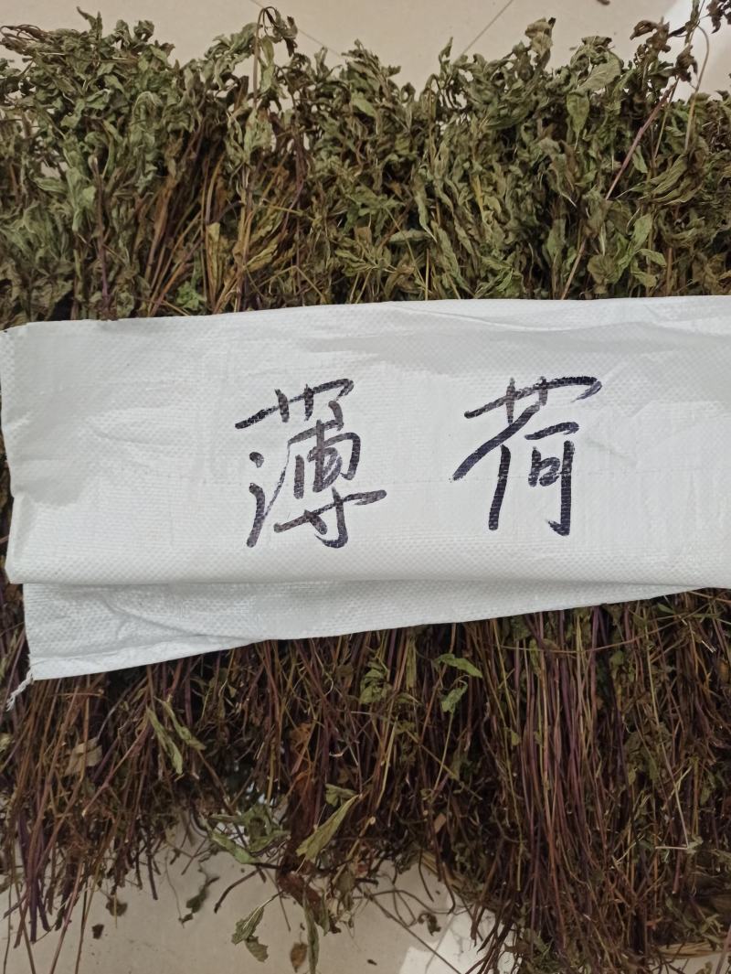 薄荷
