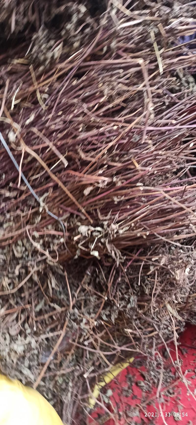 薄荷