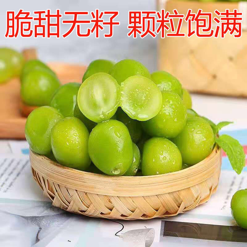 阳光玫瑰颗粒盒装6g以上