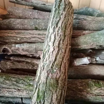 贵州纯野生杜仲厚皮，颜色漂亮，整条切，无硫，拉丝好
