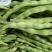 攀枝花优质蔬菜大青豆