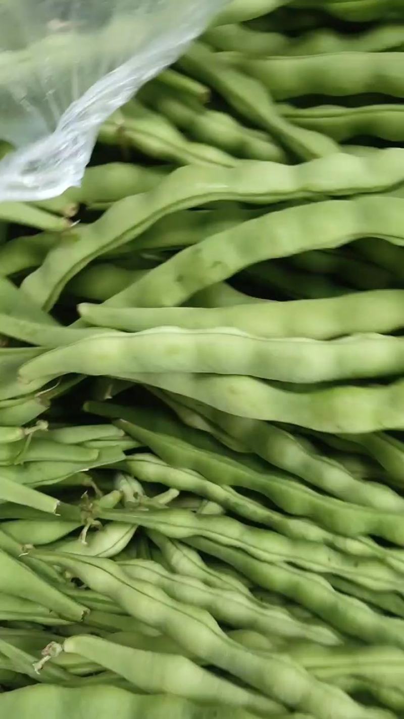 攀枝花优质蔬菜大青豆