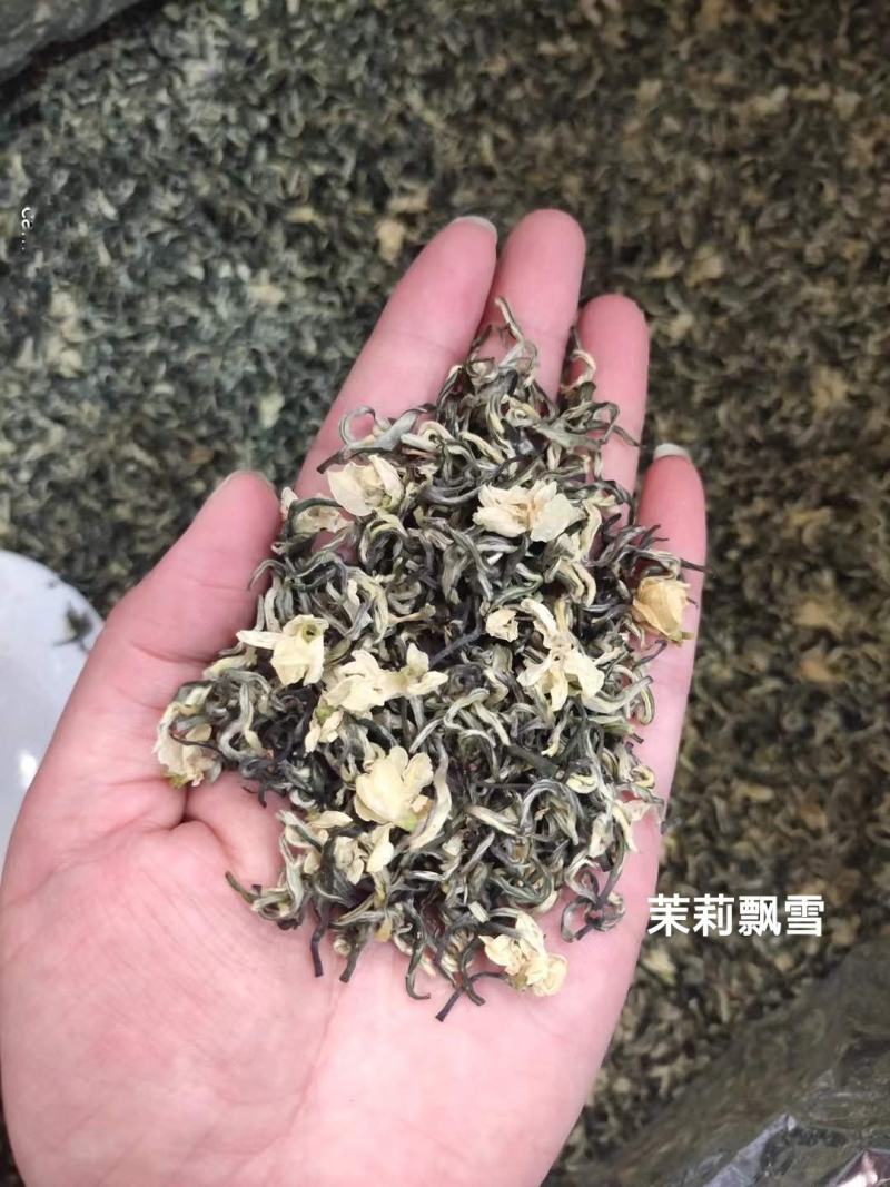 新茶茉莉花茶叶特级浓香型新茶茉莉花茶绿茶