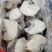 鳕鱼片鳕鱼排深海进口鳕鱼段冷冻鳕鱼块海鲜水鳕鱼俄罗斯水鳕