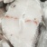 鳕鱼片鳕鱼排深海进口鳕鱼段冷冻鳕鱼块海鲜水鳕鱼俄罗斯水鳕
