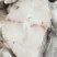 鳕鱼片鳕鱼排深海进口鳕鱼段冷冻鳕鱼块海鲜水鳕鱼俄罗斯水鳕