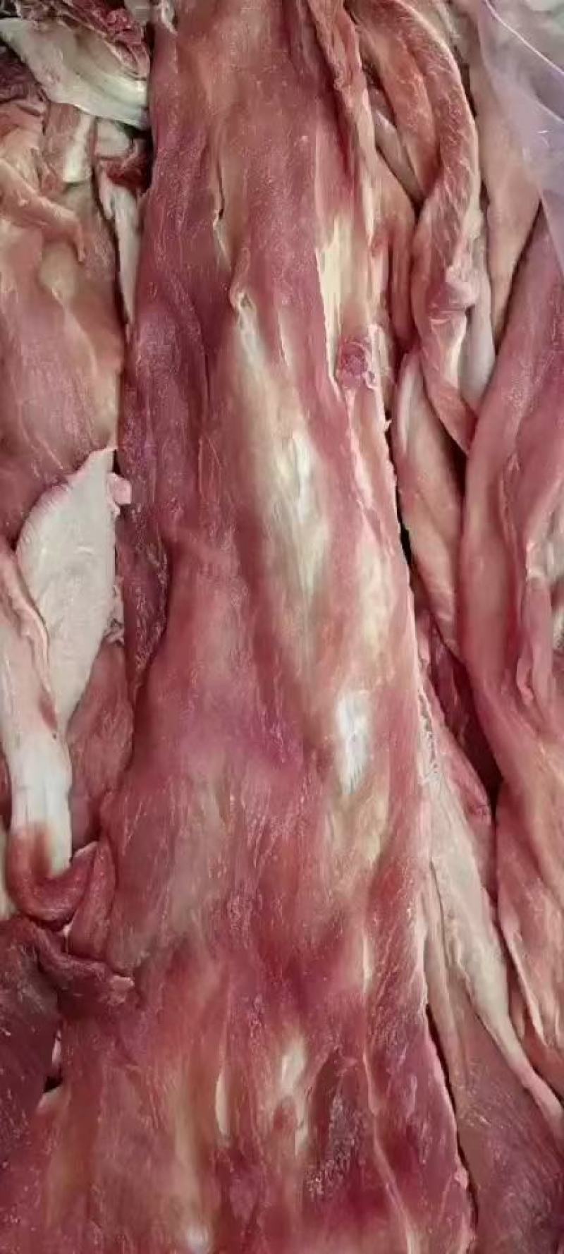 猪里脊筋皮