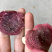 野生红蘑菇批发红菇干货500g开菇红香菌河南产地