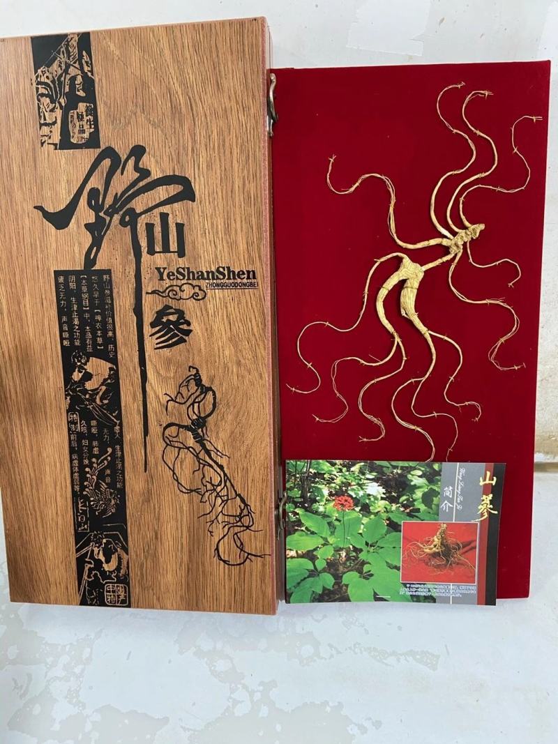 长白山野山参特价活动。精品木质礼品盒，参龄高