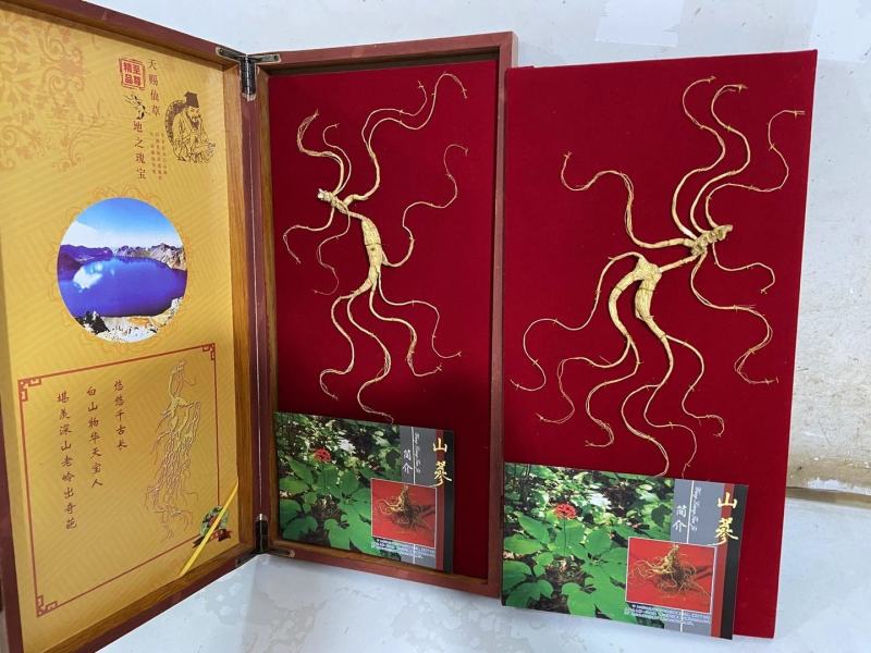 长白山野山参特价活动。精品木质礼品盒，参龄高