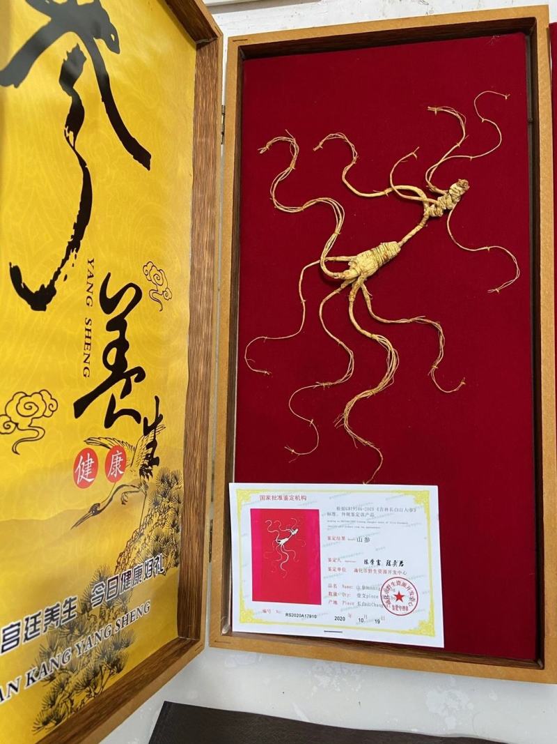 长白山野山参特价活动。精品木质礼品盒，参龄高
