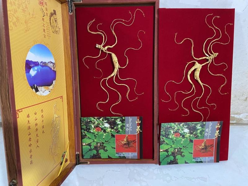 长白山野山参特价活动。精品木质礼品盒，参龄高