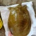 外塘小甲鱼老甲鱼批发，卤甲鱼，塘口直发，大小规格都有