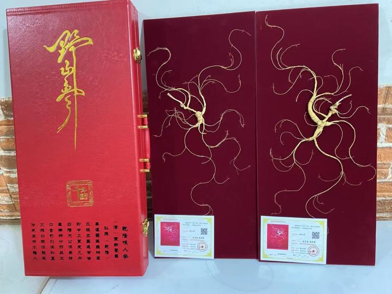 【长白山野山参精品礼盒，中国红皮礼盒，60厘米