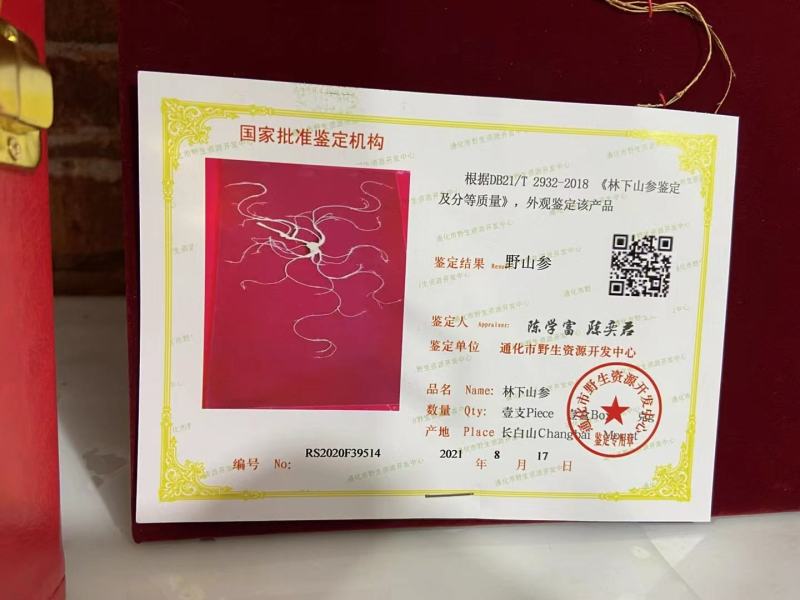 【长白山野山参精品礼盒，中国红皮礼盒，60厘米