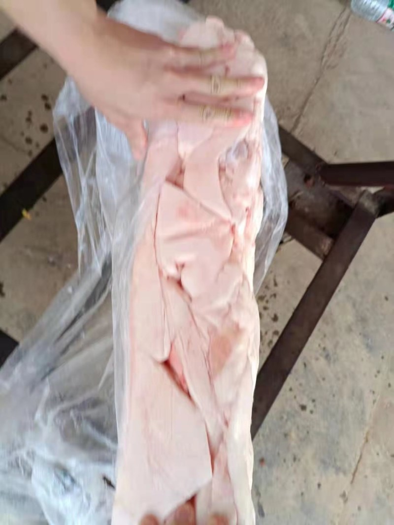 肥膘