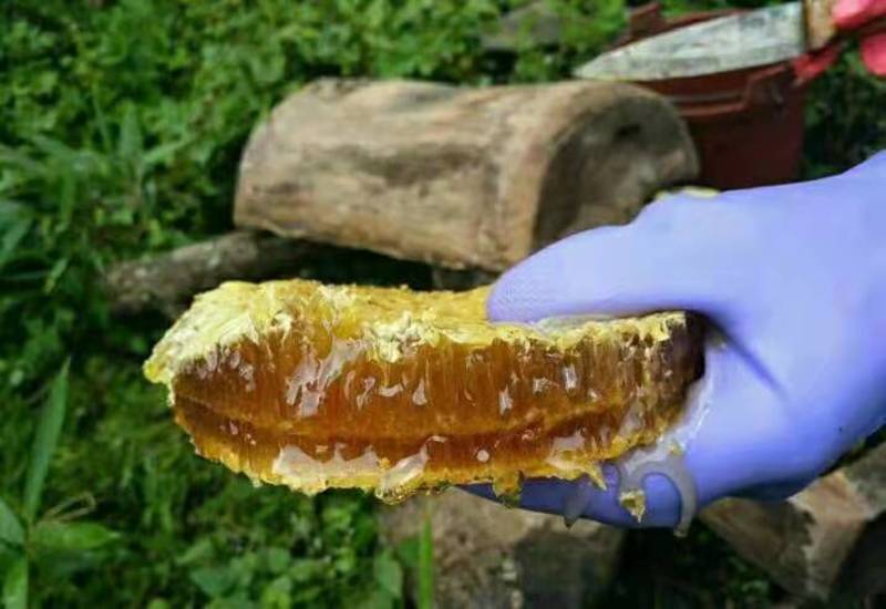 秦岭老巢土蜂蜜，无任何添加，假一赔十，真正的土蜂蜜