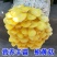 【不出包赔】蘑菇菌包四季室内蘑菇种植食用菌棒菌菇包蘑菇种