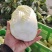 高原夏菜质量很好颜色好看，