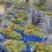 【阳光玫瑰葡萄】河南阳光玫瑰，大量上市中欢迎商超前来采购