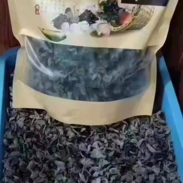 秋木耳黑龙江
