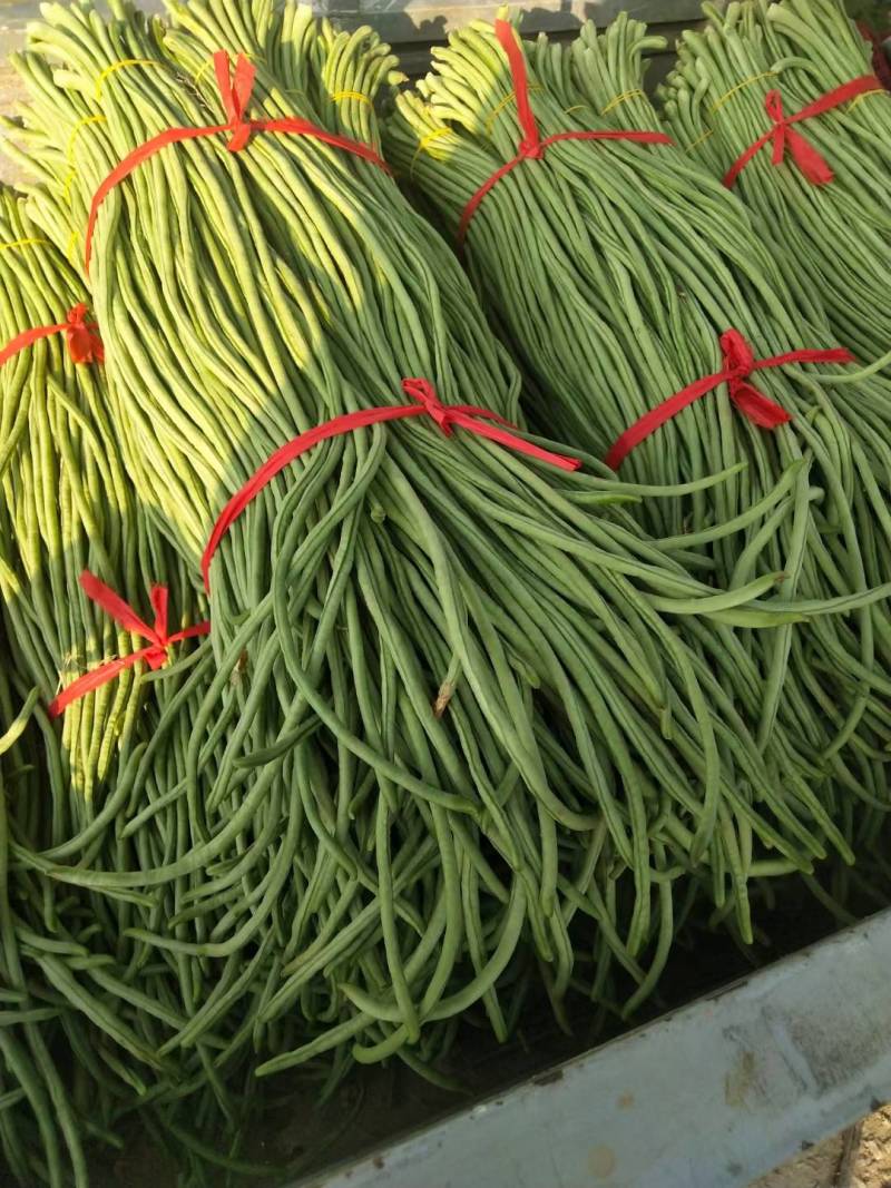 豆角