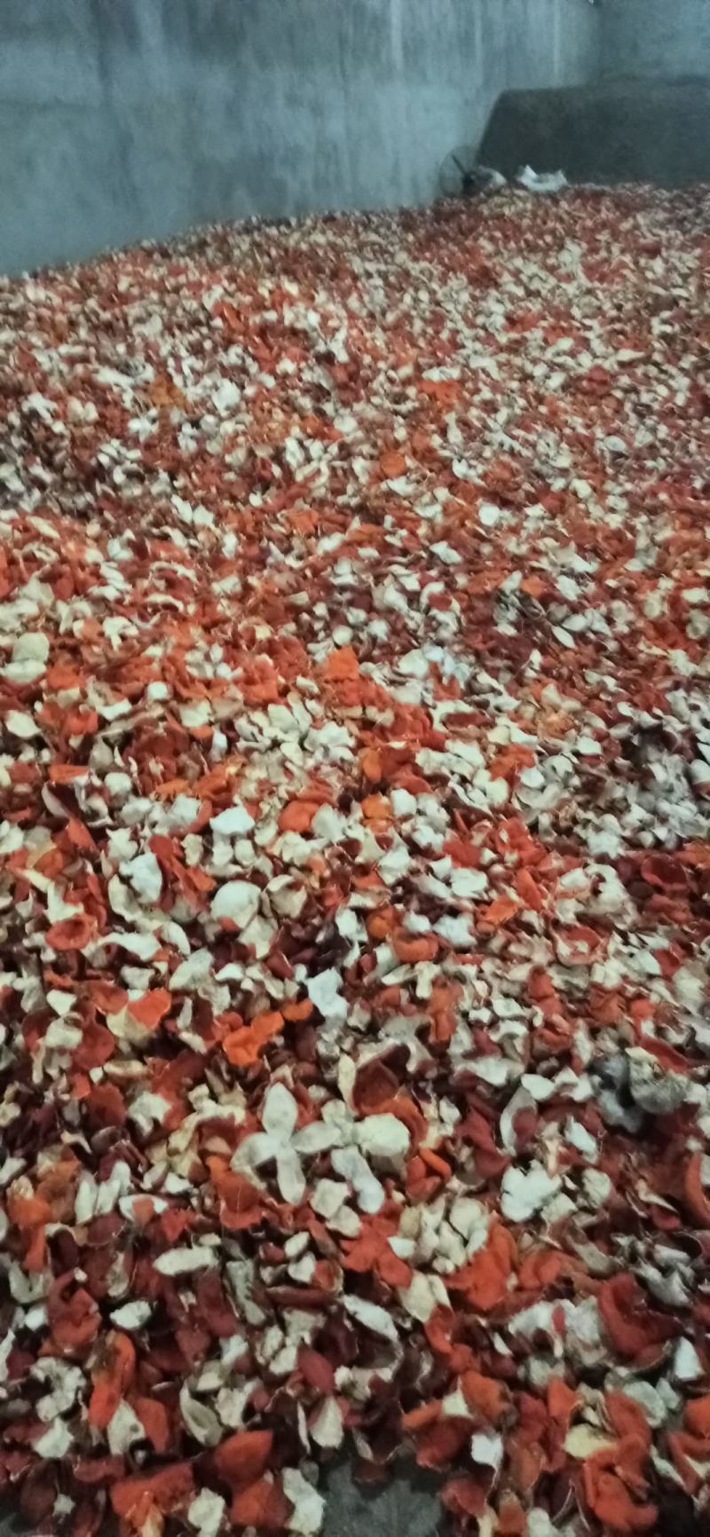 陈皮