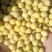 精选高蛋白黄豆各种品质大豆用途广泛价格低品质高
