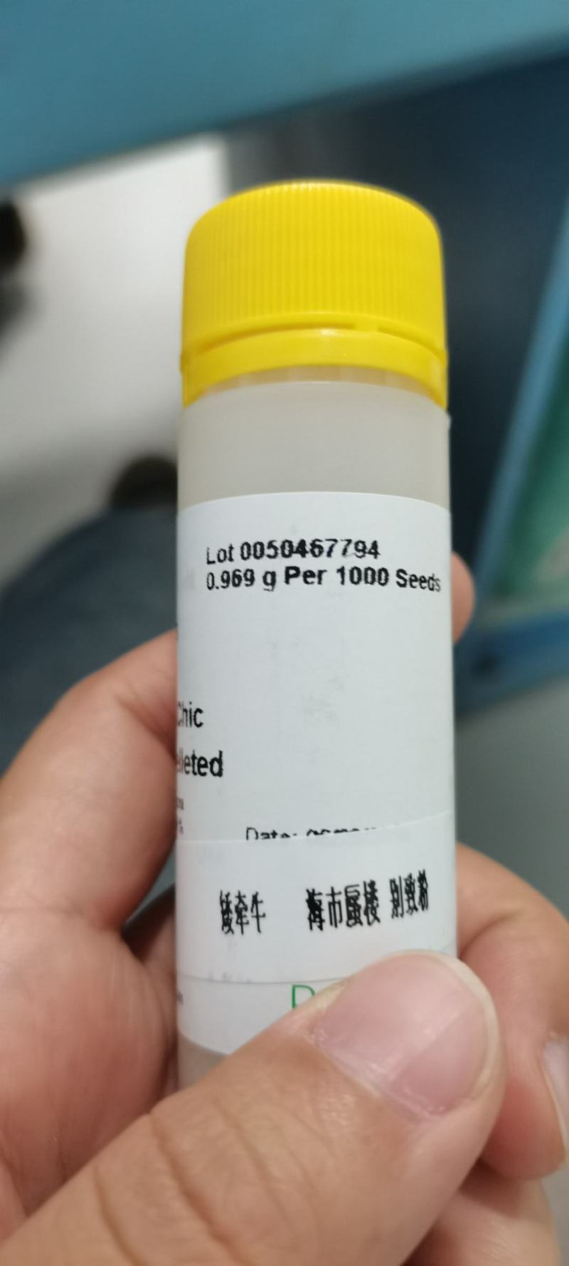 进口雨林矮牵牛种子！玫红、蓝色、大红！库存充足