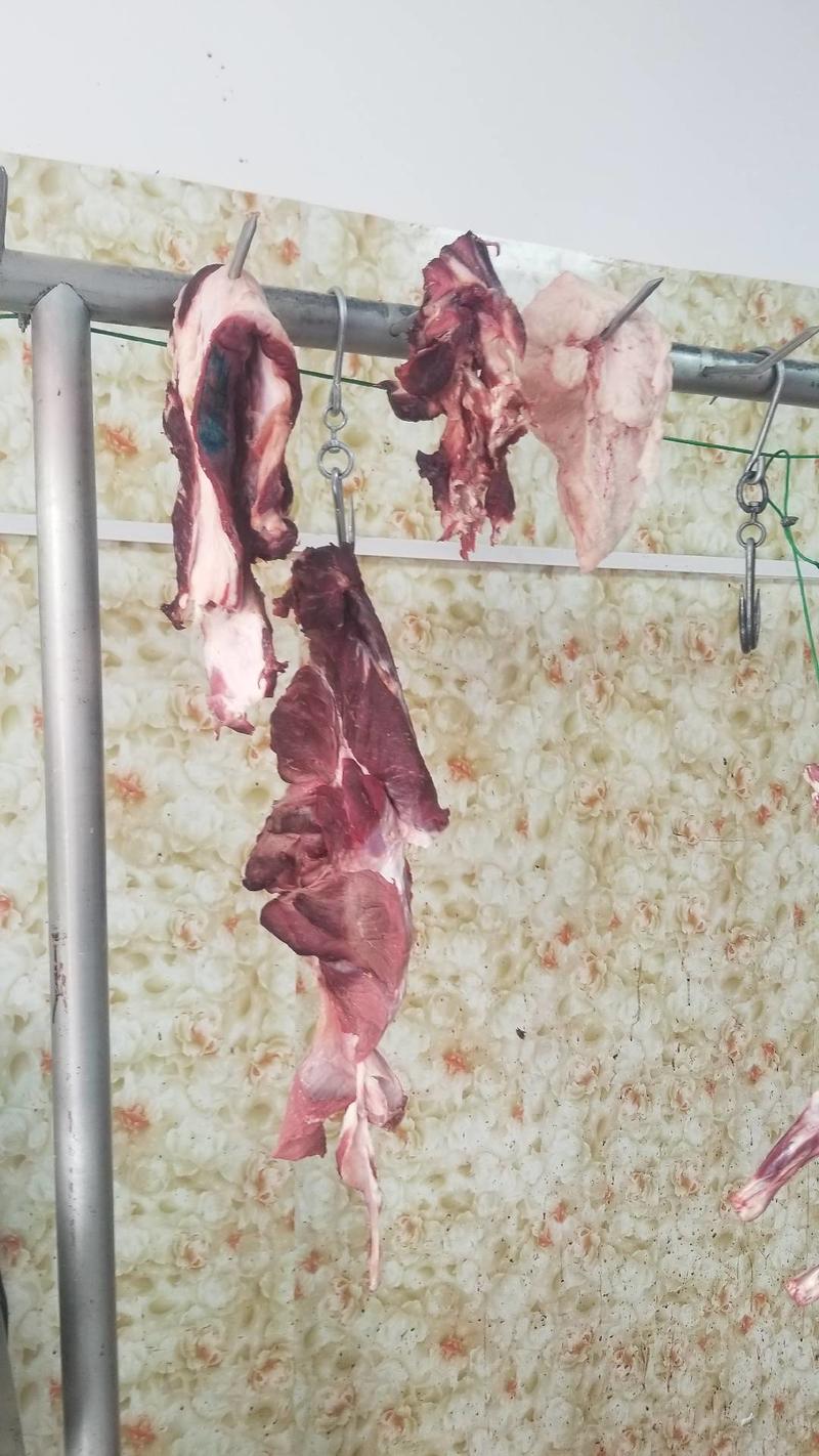 新疆库车农美农产品贸易有限公司产品羊肉，牛肉