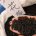 萱草种子大花萱草庭院花园观花绿植耐阴护皮植物大花萱草种子
