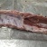 母猪龙骨，带肉35以上，每天生产，手续齐全
