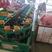 【万亩基地】莱西市秋月梨大量上市一手货源对接超市电商价格低