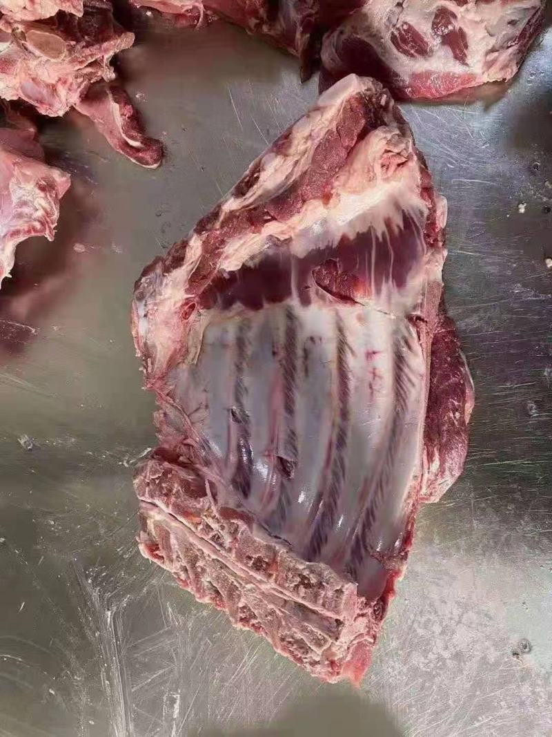 母猪前排，无颈前排，带颈前排，手续齐全，品质保证