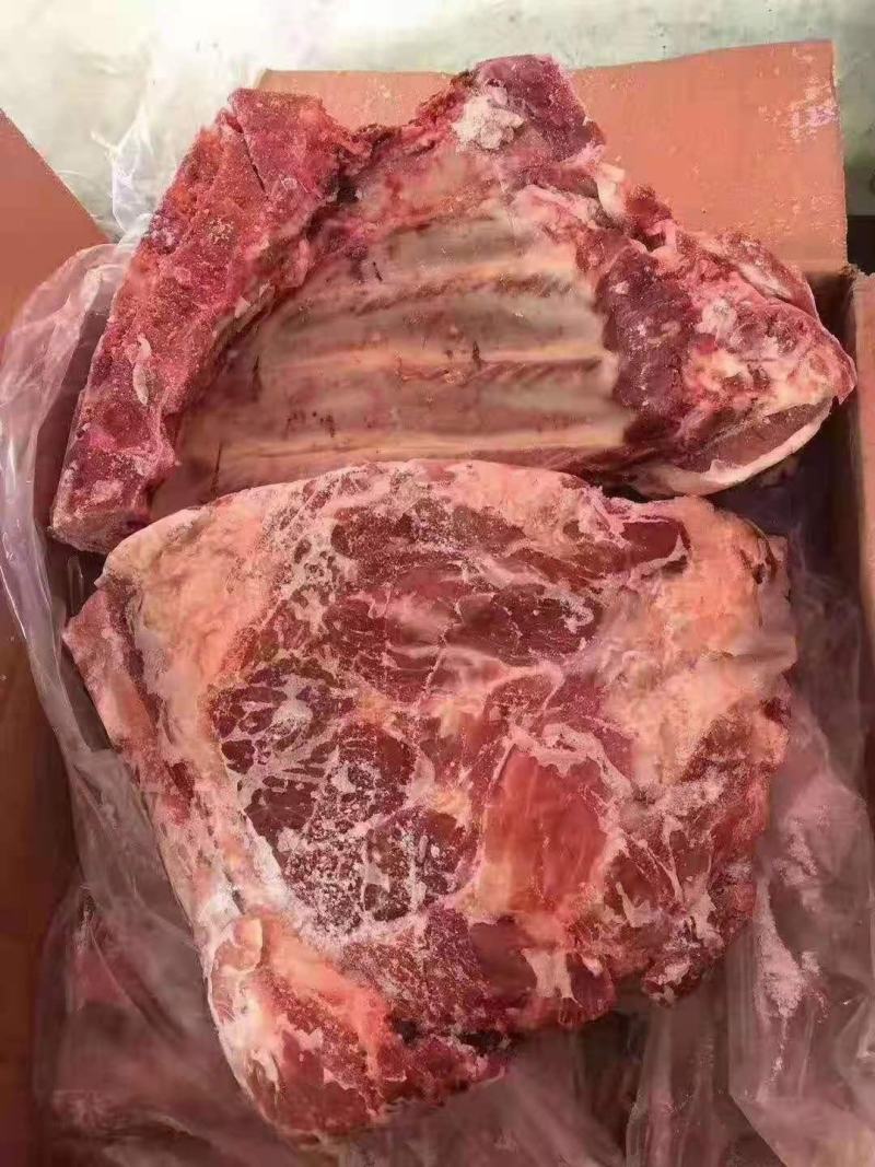 母猪前排，无颈前排，带颈前排，手续齐全，品质保证