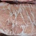 肥猪毛肋排，手续齐全，每天生产，品质保证