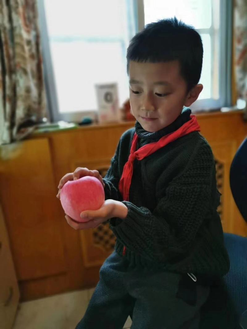 黄土高原高海拔山地苹果