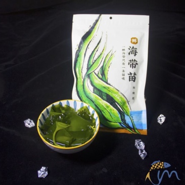 海带苗海带鲜海带苗