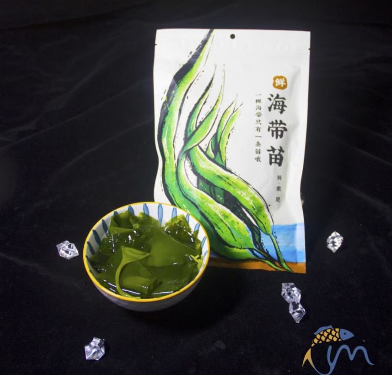 海带苗海带鲜海带苗